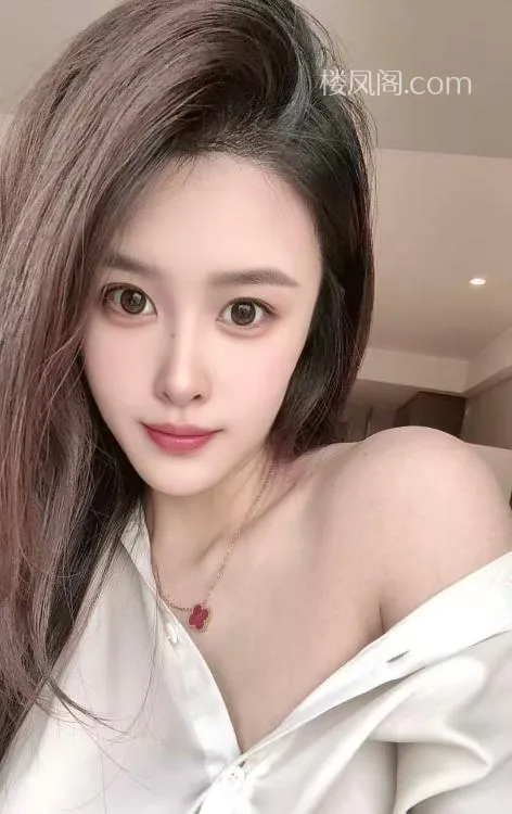 全国免费楼凤资源