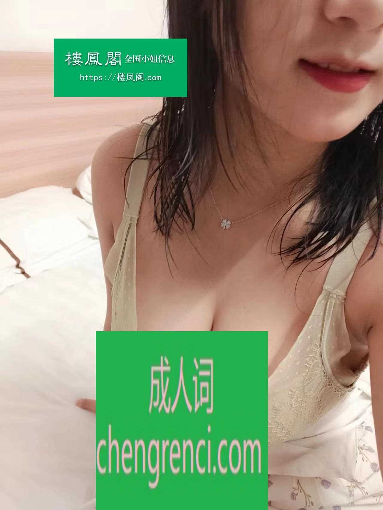 全国免费楼凤资源