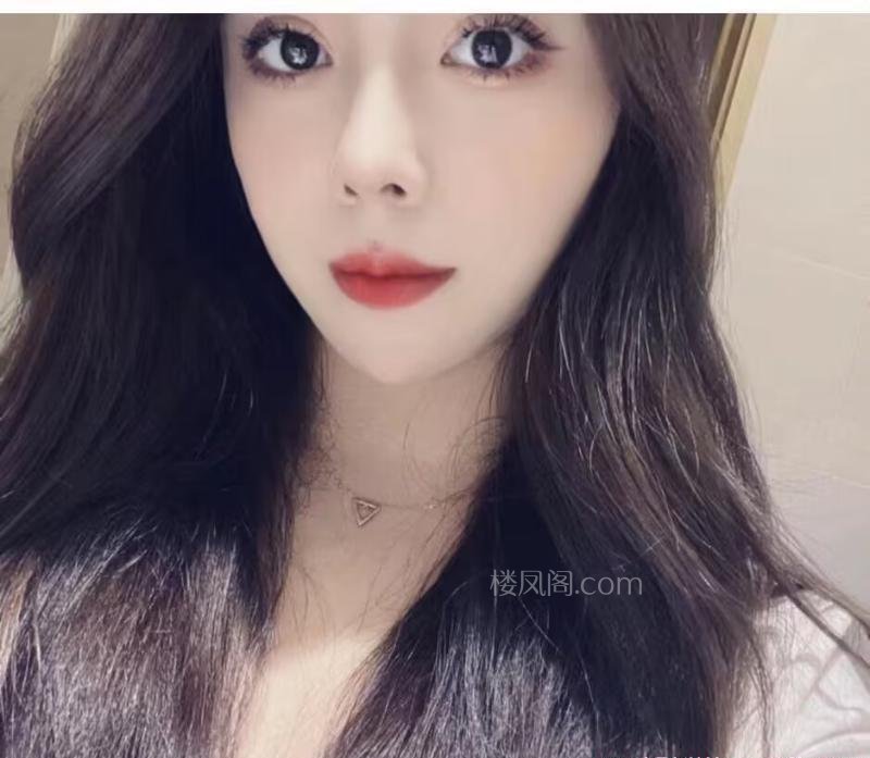 全国免费楼凤资源