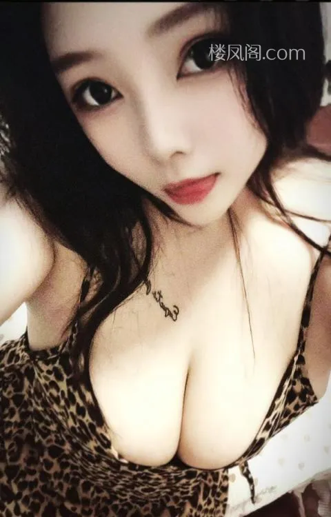 全国免费楼凤资源