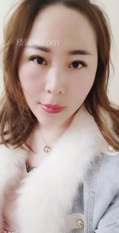 全国免费楼凤资源