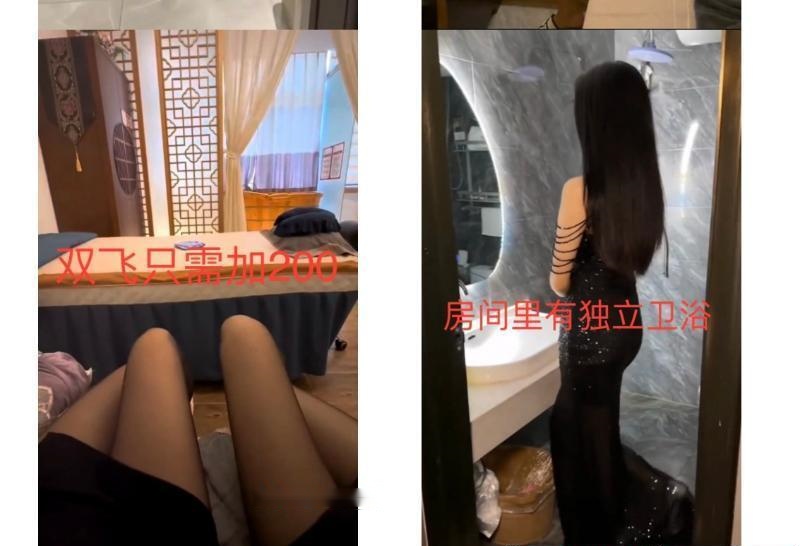 全国免费楼凤资源