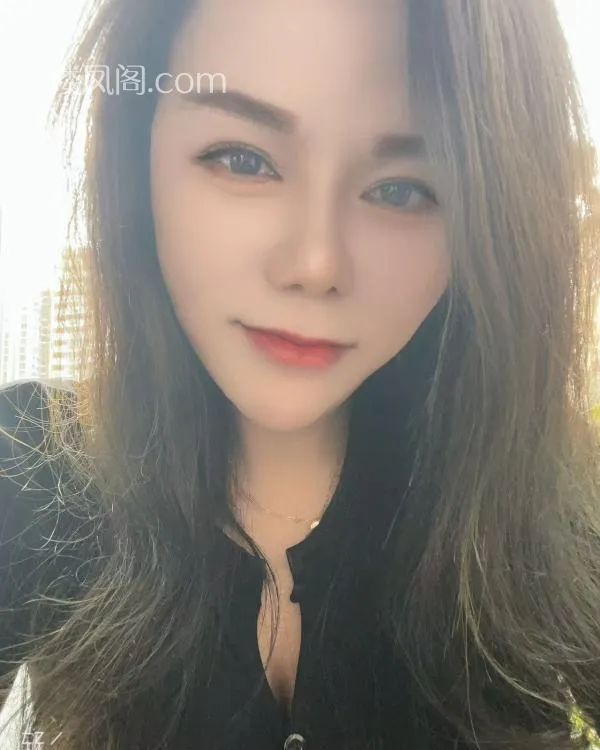 全国免费楼凤资源