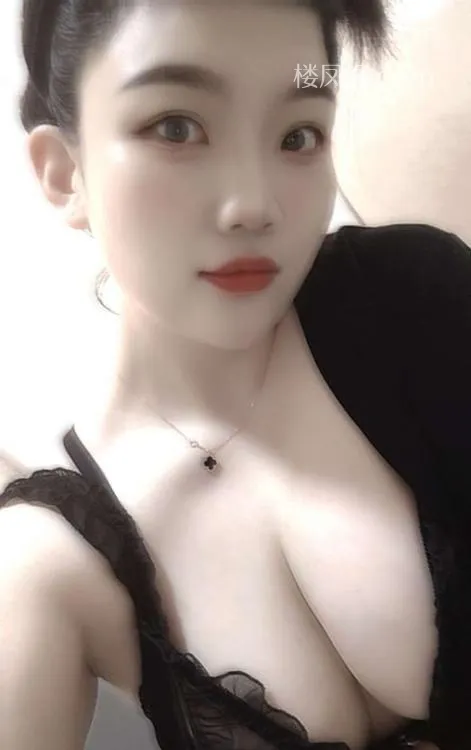 全国免费楼凤资源