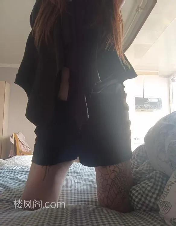 全国免费楼凤资源