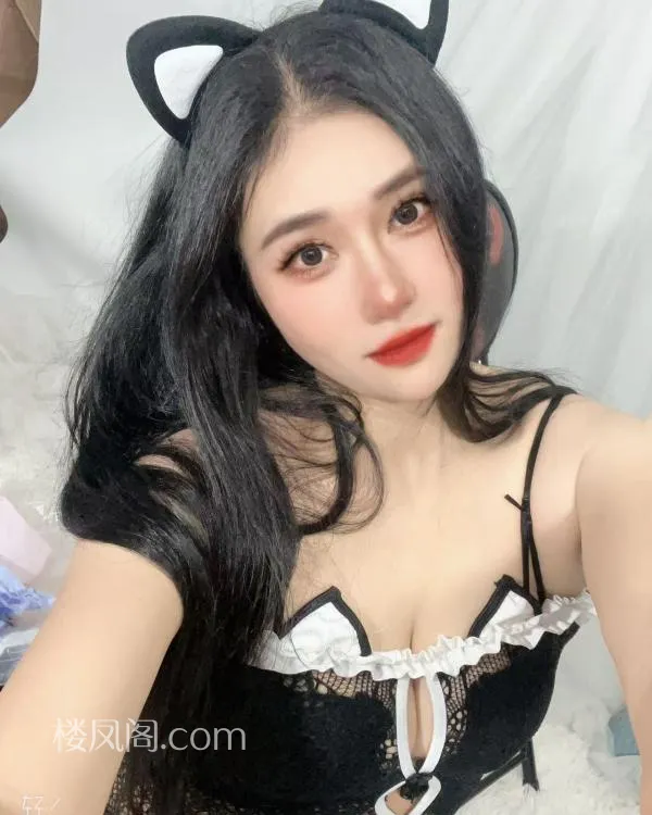 全国免费楼凤资源