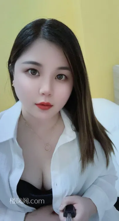 全国免费楼凤资源