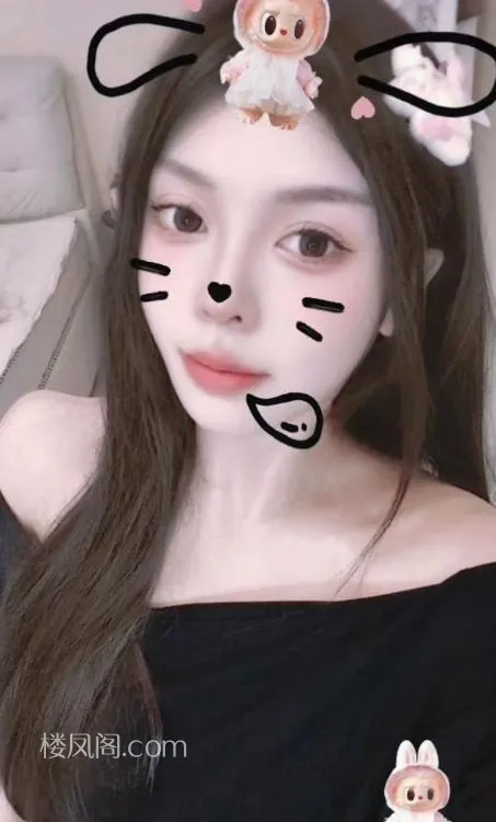 全国免费楼凤资源