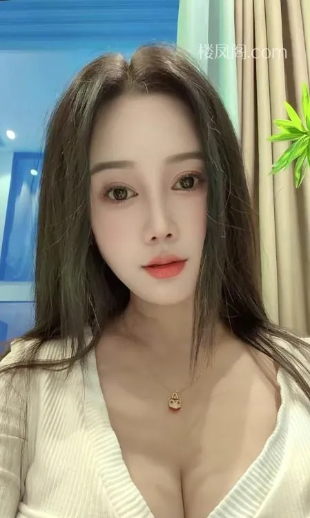 全国免费楼凤资源