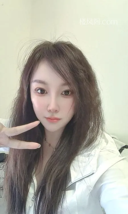 全国免费楼凤资源