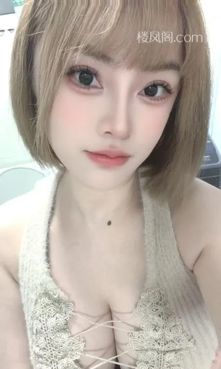 全国免费楼凤资源