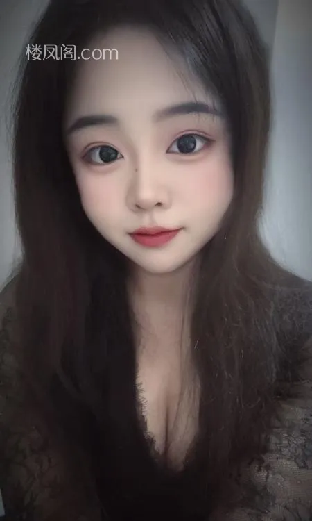 全国免费楼凤资源