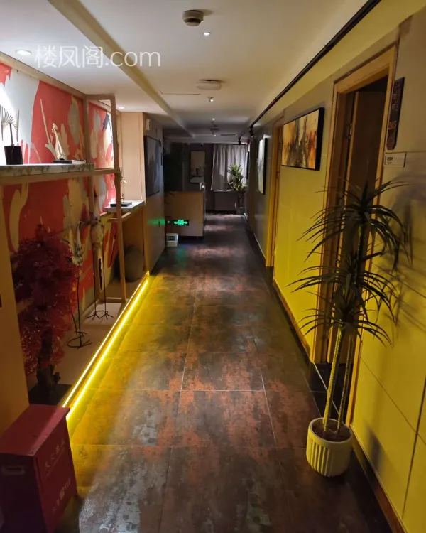 全国免费楼凤资源