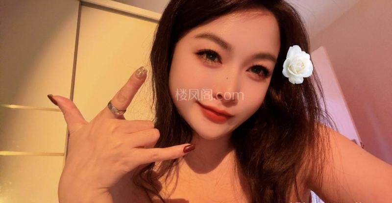 全国免费楼凤资源