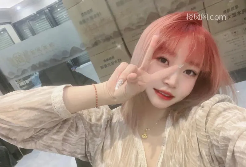 全国免费楼凤资源