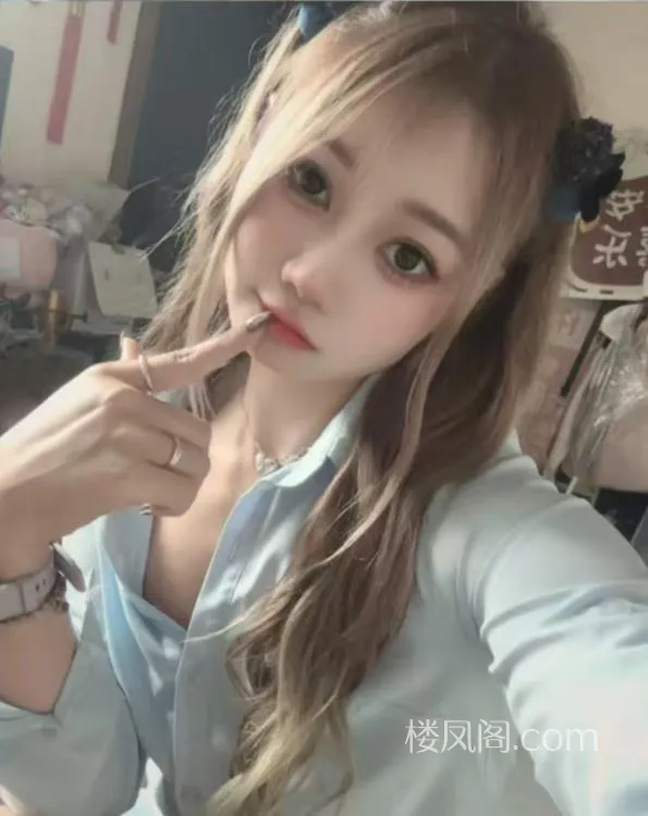 全国免费楼凤资源