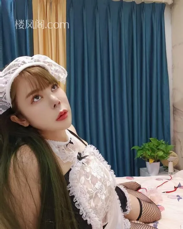 全国免费楼凤资源