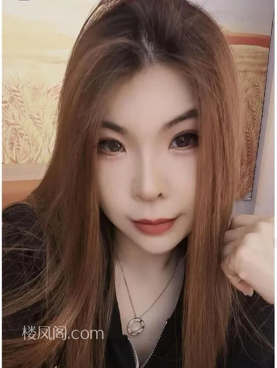 全国免费楼凤资源