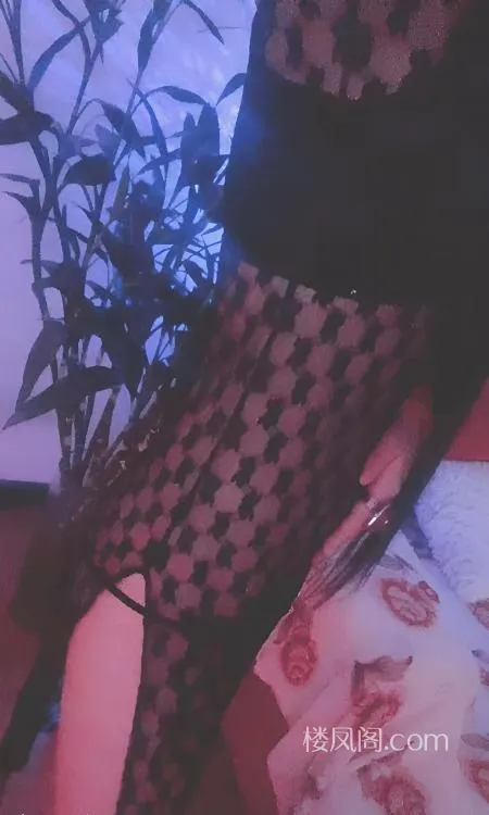 全国免费楼凤资源