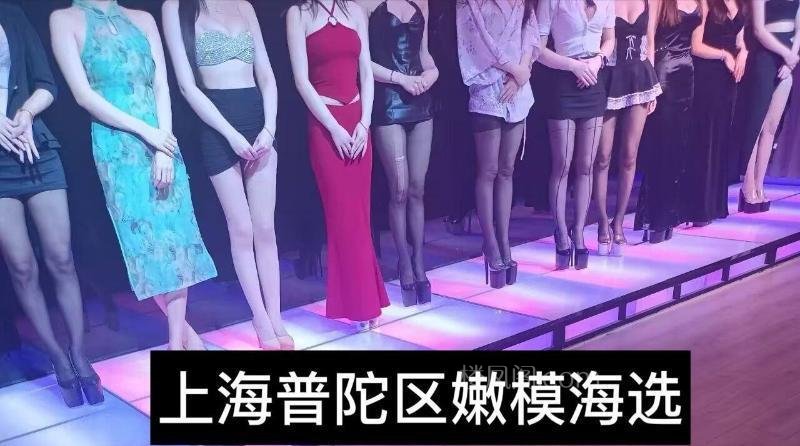 全国免费楼凤资源