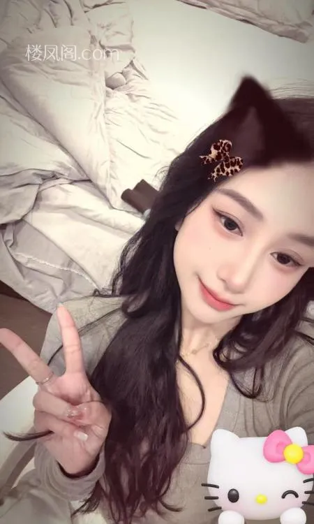 全国免费楼凤资源