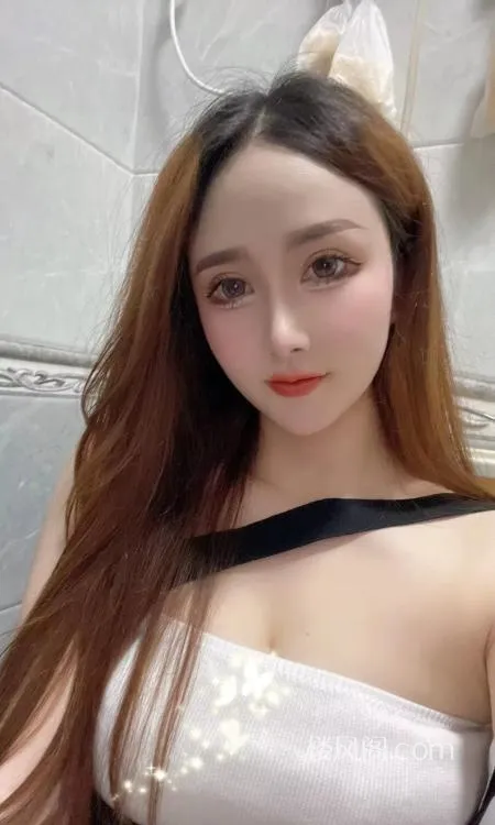 全国免费楼凤资源