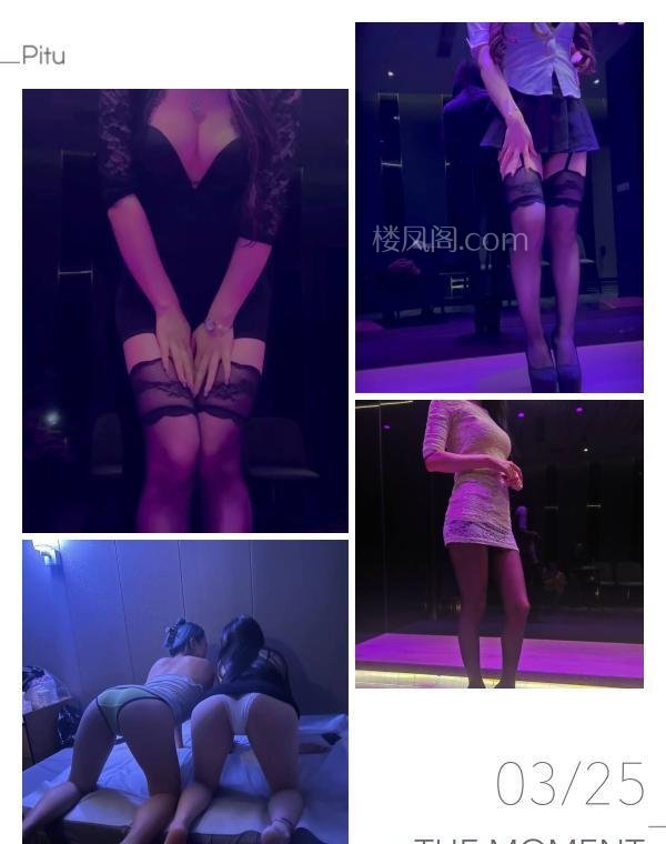 全国免费楼凤资源