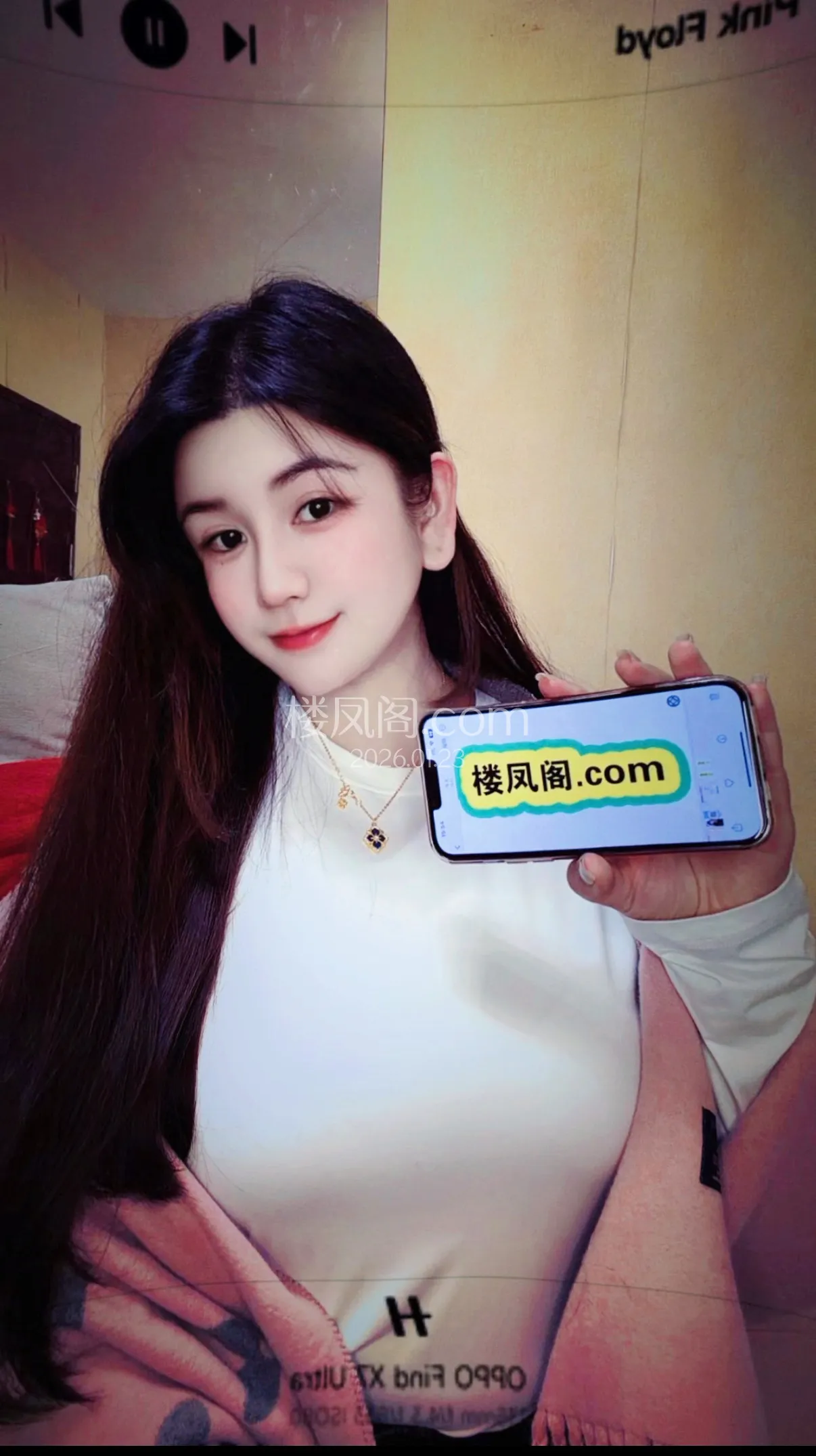 全国免费楼凤资源