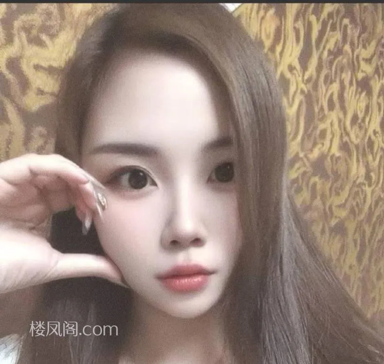 全国免费楼凤资源