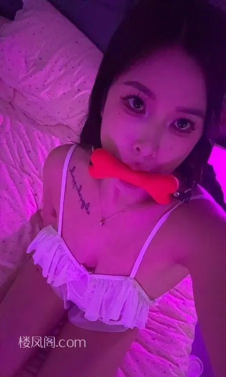 全国免费楼凤资源