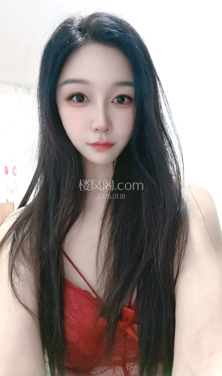 全国免费楼凤资源