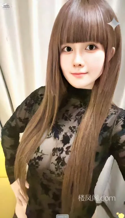 全国免费楼凤资源