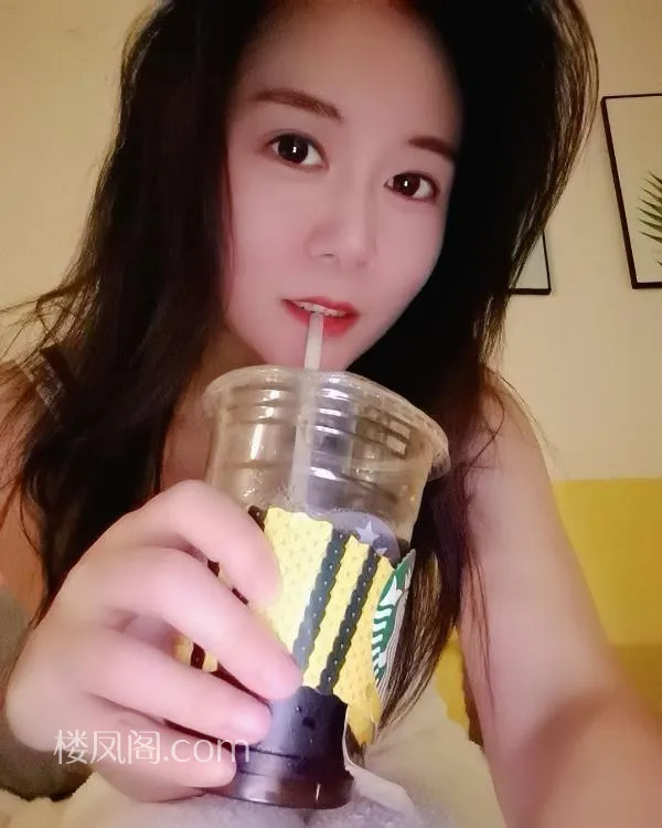 全国免费楼凤资源