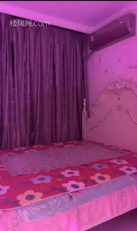 全国免费楼凤资源