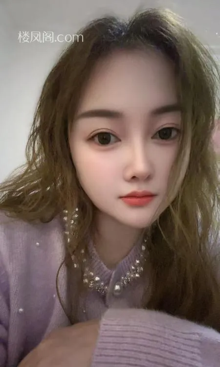 全国免费楼凤资源