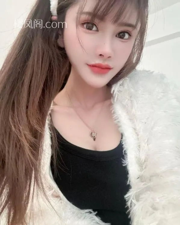 全国免费楼凤资源