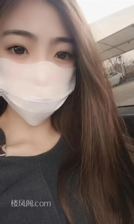 全国免费楼凤资源