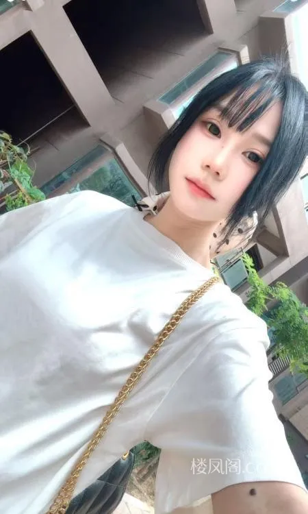 全国免费楼凤资源