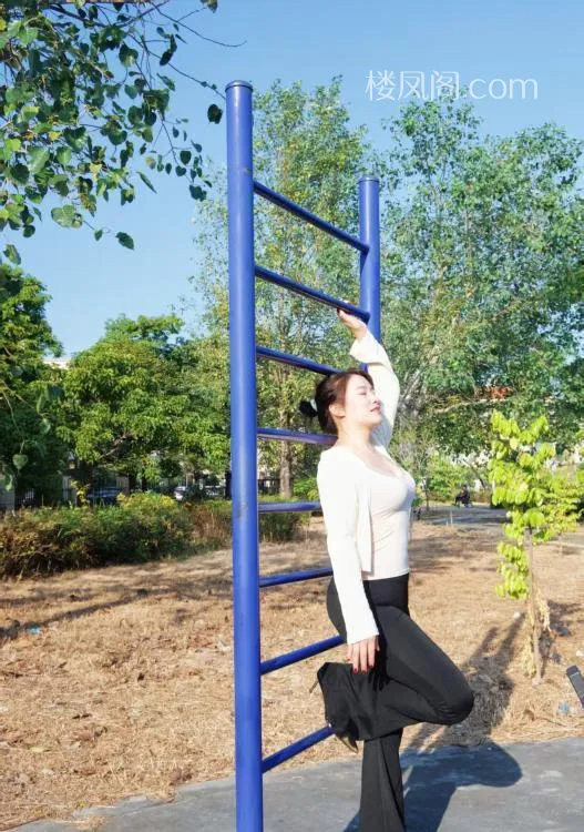 全国免费楼凤资源