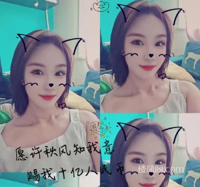 全国免费楼凤资源