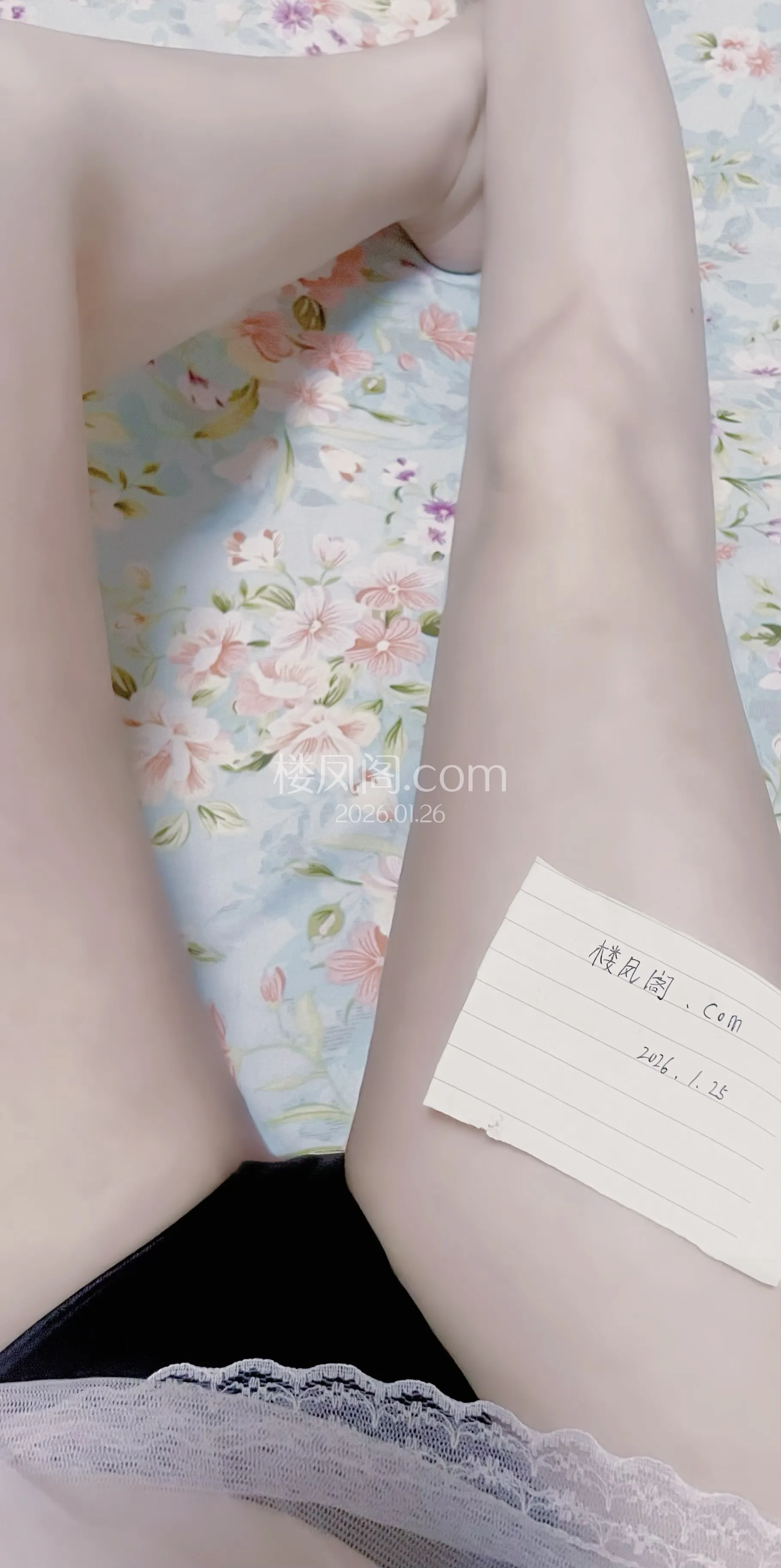 全国免费楼凤资源