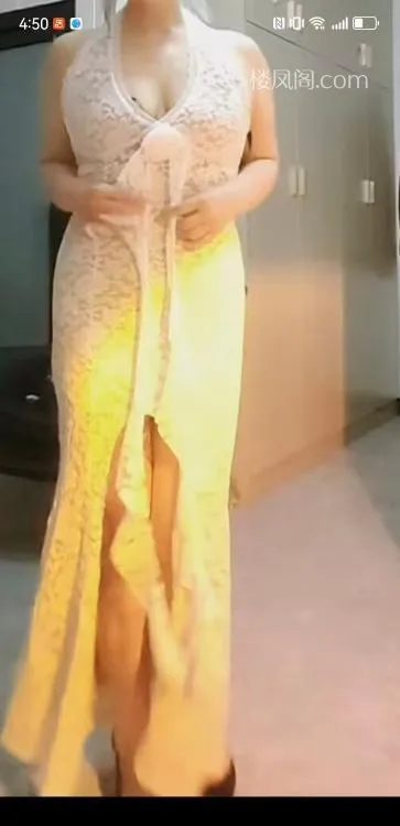 全国免费楼凤资源