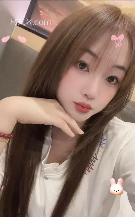 全国免费楼凤资源