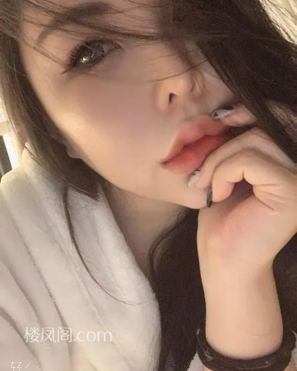 全国免费楼凤资源