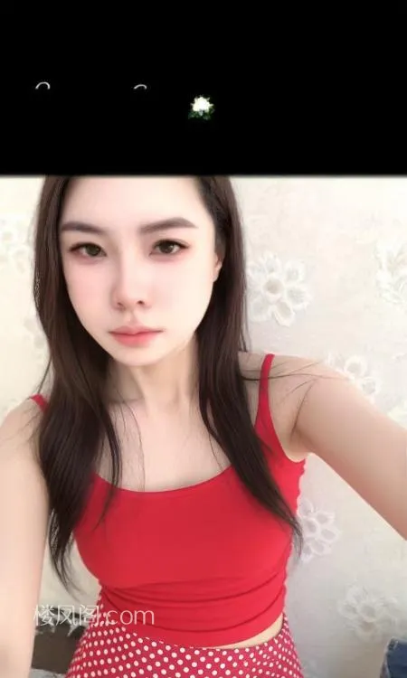 全国免费楼凤资源