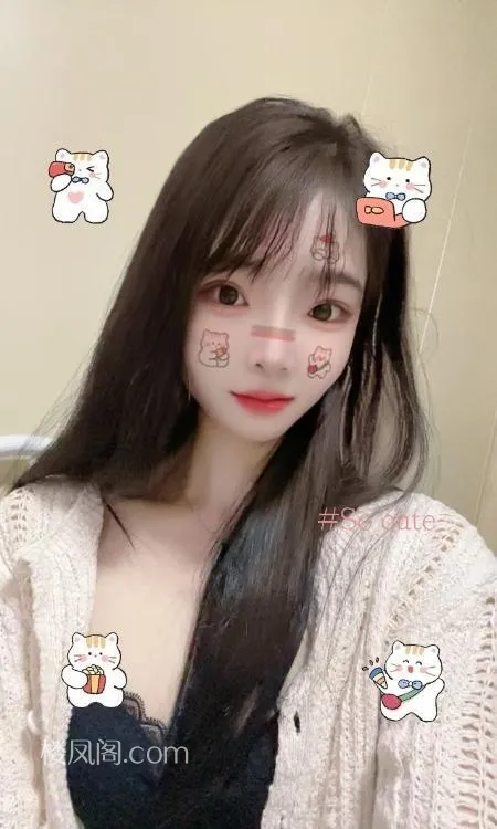 全国免费楼凤资源