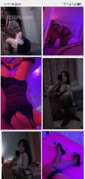 全国免费楼凤资源