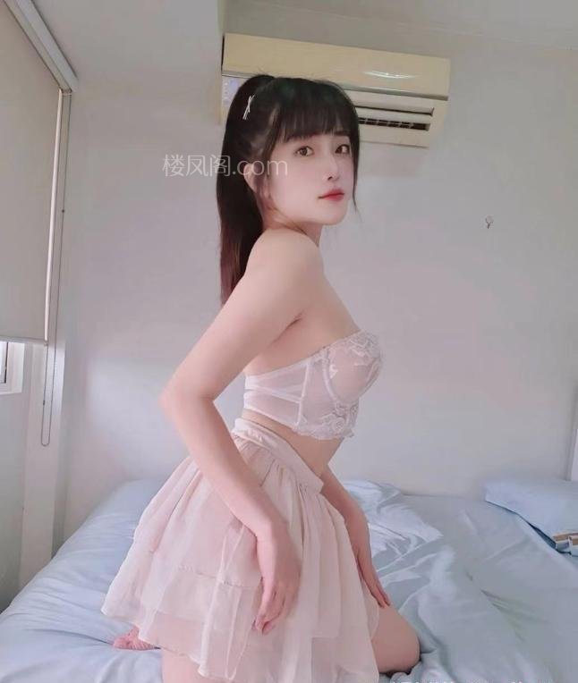 全国免费楼凤资源