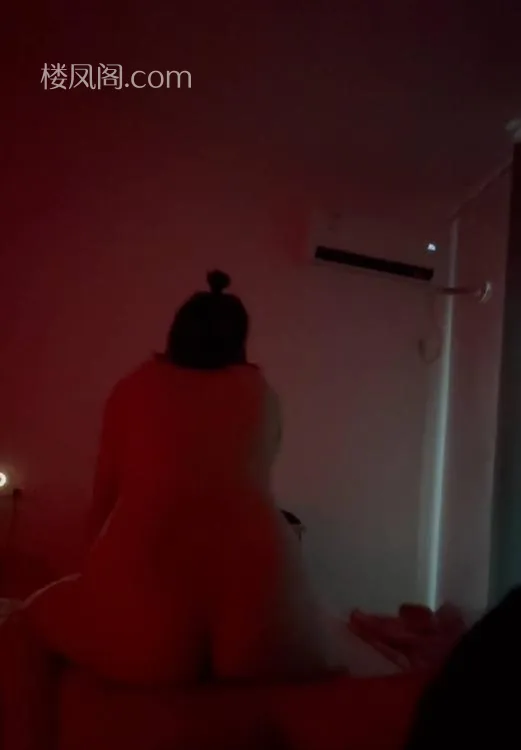 全国免费楼凤资源