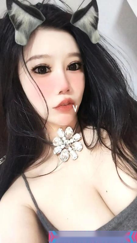 全国免费楼凤资源